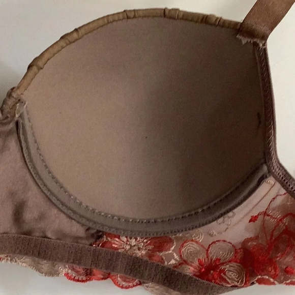 Massam Embroidered Padded Bra Made in Brazil New with Tags - Picture 7 of 8